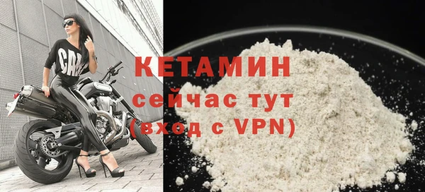 трава Тавда
