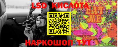 spice Владикавказ