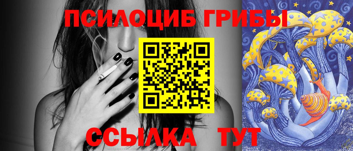 Белогорск  Галлюциногенные грибы Psilocybine cubensis  Вход с VPN 