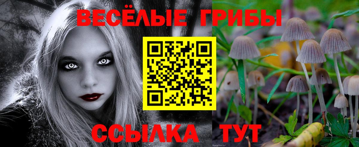 Галлюциногенные грибы Magic Shrooms Белогорск